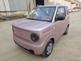 吉利银河 2024款 熊猫mini 200km 耐力熊