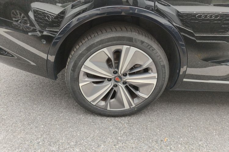 红旗E-HS9 2021款 460km 旗享版 六座车身外观6008