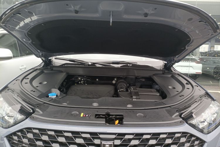 魏牌 拿铁DHT 2022款 1.5T DHT大杯局部细节24