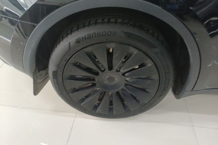 特斯拉 Model Y 2021款 标准续航后驱版车身外观6008