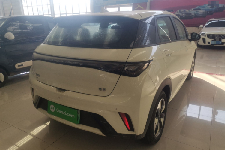 比亚迪 海豚 2025款 420km 自由版车身外观7