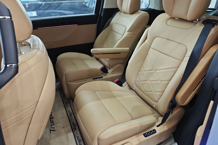 广汽传祺 传祺E8新能源 2024款 150km MAX+中控内饰7004