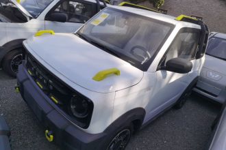 吉利银河 2025款 210km 熊猫骑士