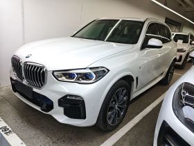 宝马X5(进口) 2019款 xDrive40i M运动套装