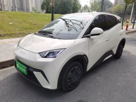 比亚迪 海鸥 2025款 305km 活力版