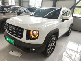 哈弗大狗 2021款 1.5T DCT两驱拉布拉多版