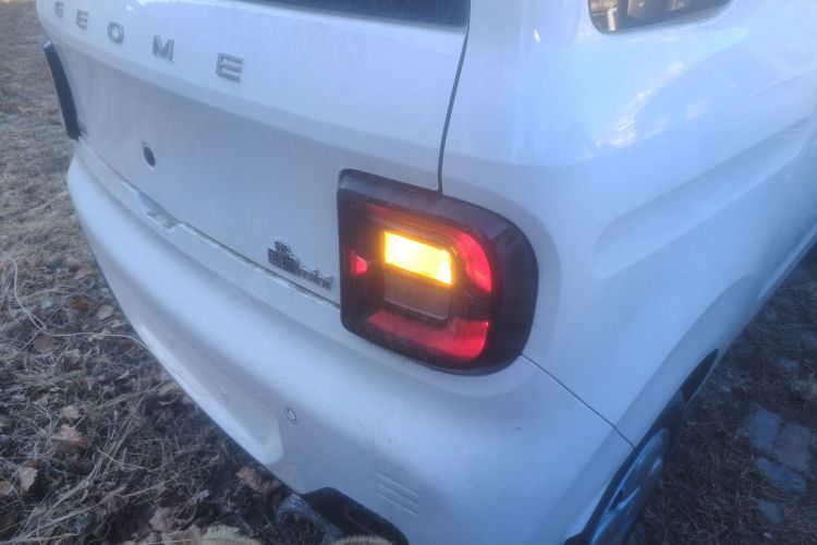 吉利银河 2024款 熊猫mini 200km 耐力熊车身外观9