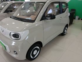 五菱汽车 宏光MINIEV 2024款 第三代 215km 青春版