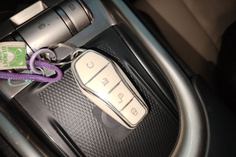 比亚迪 海豚 2023款 420km 时尚版中控内饰7001