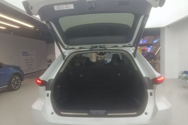 丰田 威飒 2023款 2.0L CVT两驱尊贵版局部细节23