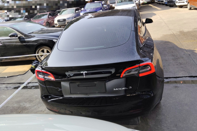 特斯拉 Model 3 2020款 标准续航后驱升级版车身外观6004