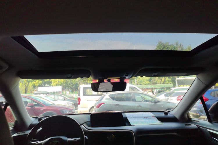 雷克萨斯RX 2016款 300 两驱精英版 国V局部细节22