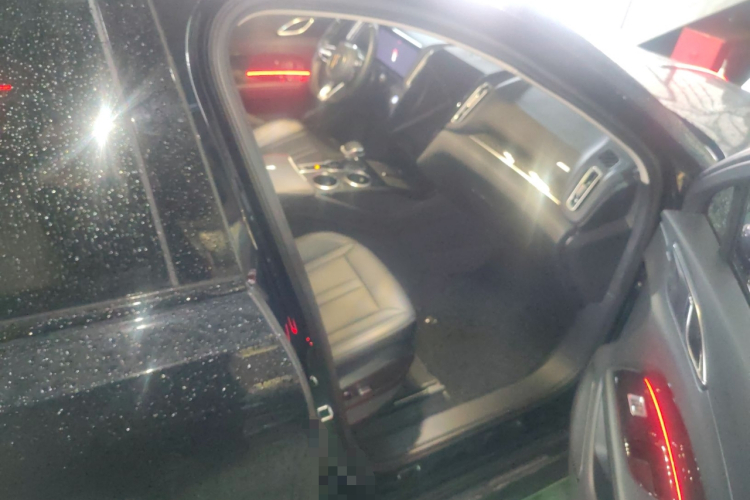 红旗HS3 PHEV 2024款 PHEV 115km 劲为版局部细节9005