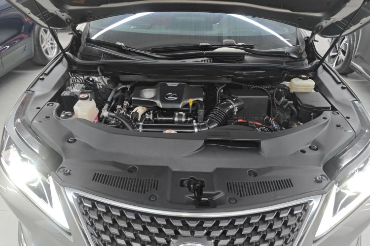 雷克萨斯RX 2020款 改款 300 两驱精英版机舱底盘24