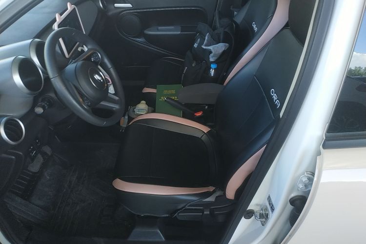 欧拉黑猫 2022款 301km 基础型 三元锂中控内饰19