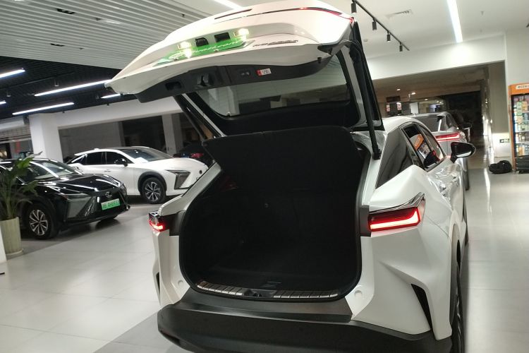 雷克萨斯RZ 2023款 450e 四驱纵享版机舱底盘23