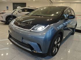 比亚迪 海豚 2023款 401km 骑士版