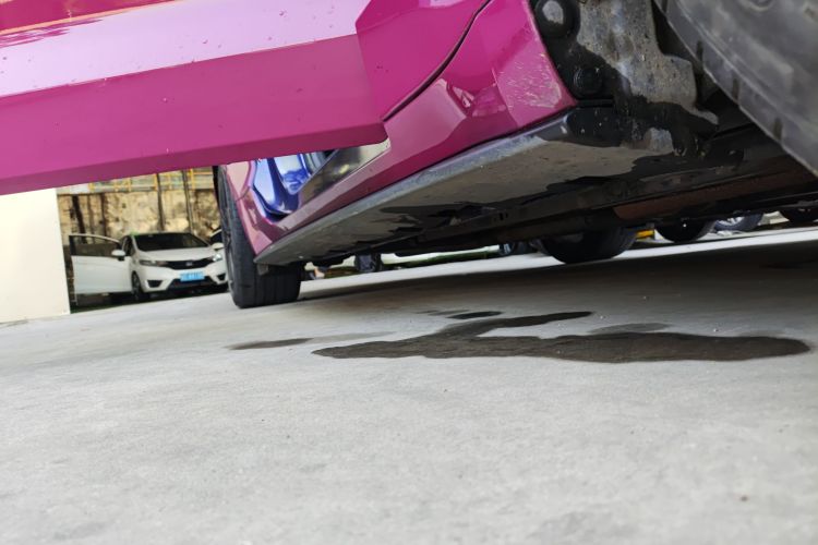 福特Mustang（平行进口） 局部细节9001