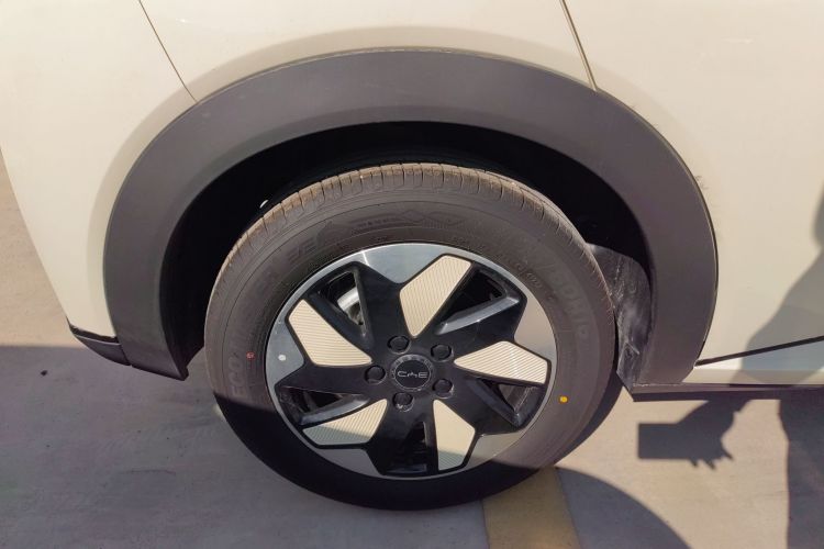 比亚迪 海豚 2025款 420km 自由版车身外观6008