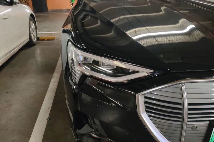 奥迪e-tron(进口) 2019款 55 quattro 技术型车身外观8