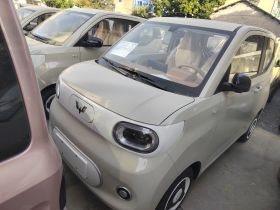 五菱汽车 宏光MINIEV 2024款 第三代 215km 青春版