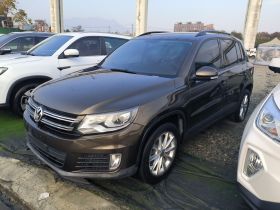 大众 途观 2017款 300TSI 自动两驱丝绸之路风尚版