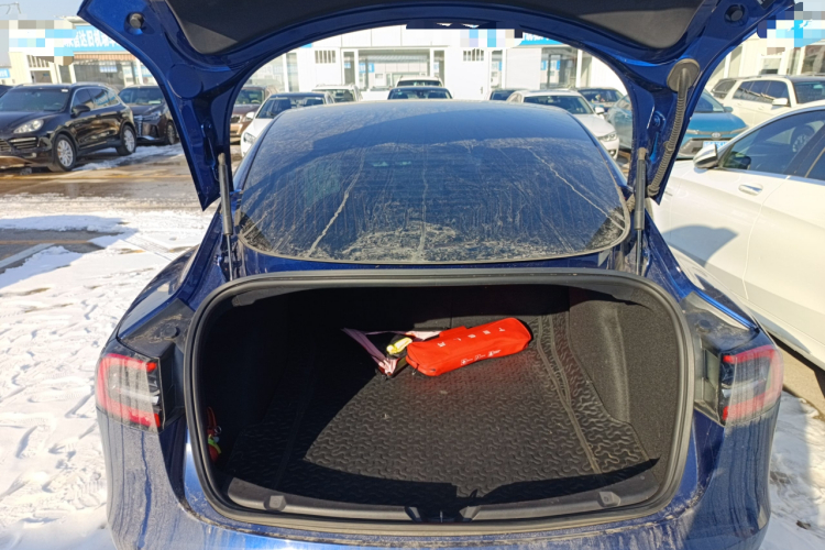 特斯拉 Model 3 2019款 标准续航后驱升级版局部细节23