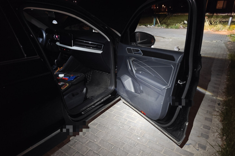 大众 途观L 2025款 出众款 300TSI 自动两驱龙腾版局部细节9005