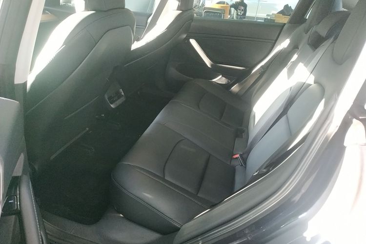 特斯拉 Model 3(进口) 2019款 Performance高性能全轮驱动版中控内饰21