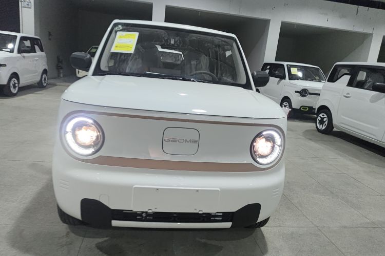 吉利银河 2024款 熊猫mini 200km 耐力熊车身外观2