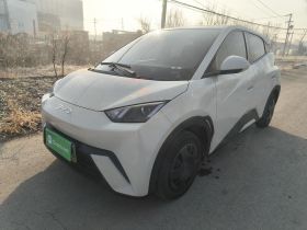 比亚迪 海鸥 2024款 荣耀版 305km 活力版