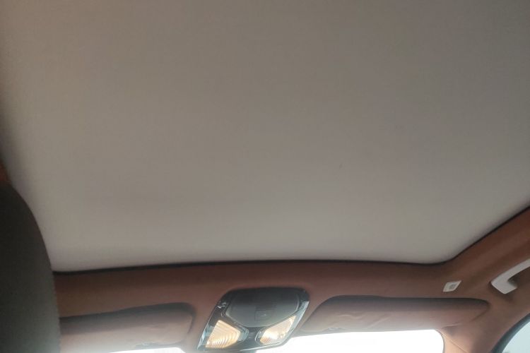 宝马X5(进口) 2021款 xDrive30i M运动套装中控内饰22