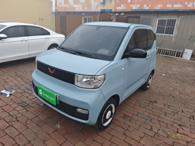 五菱汽车 宏光MINIEV 2022款 轻松款 磷酸铁锂