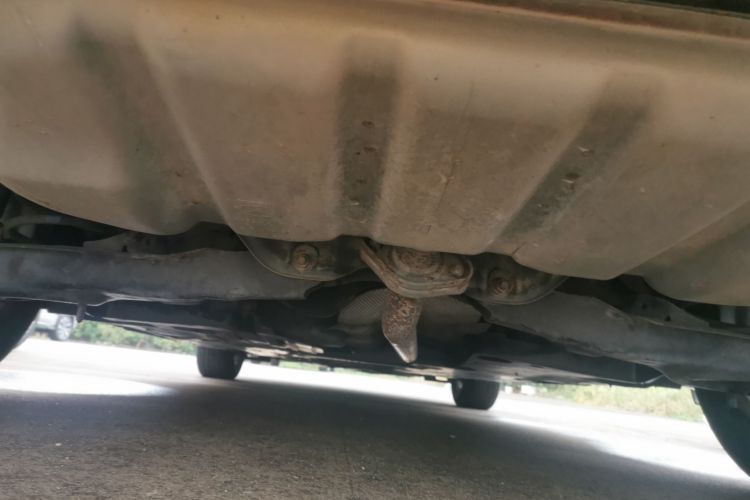 马自达3 昂克赛拉 2016款 三厢 1.5L 自动舒适型局部细节9009