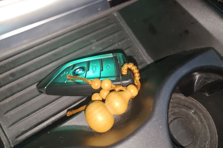 宝马5系 2021款 改款 530Li xDrive 豪华套装中控内饰7001