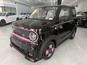 吉利银河 2025款 210km 熊猫卡丁