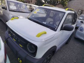 吉利银河 2025款 210km 熊猫骑士