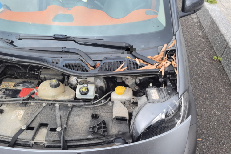 smart fortwo 2015款 1.0L 52千瓦硬顶激情版局部细节9007