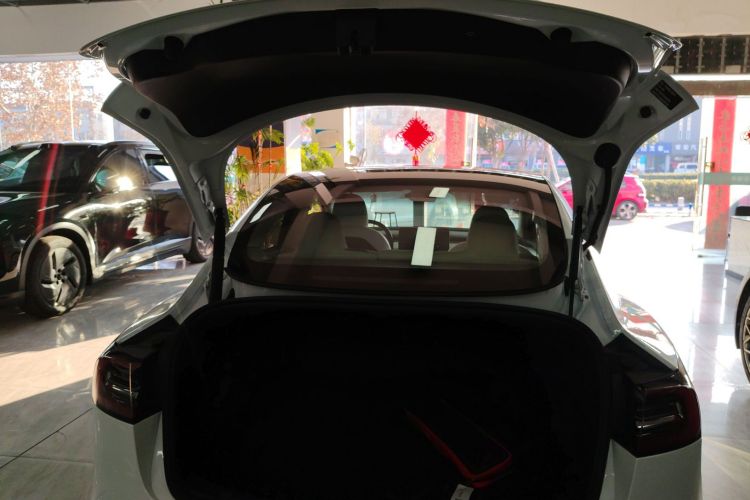 特斯拉 Model 3 2021款 改款 标准续航后驱升级版 3D1局部细节23