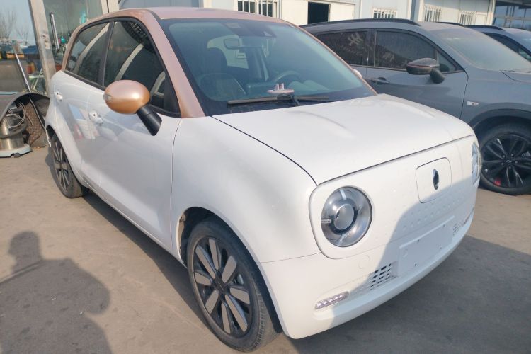 欧拉黑猫 2019款 351km 女神版车身外观3