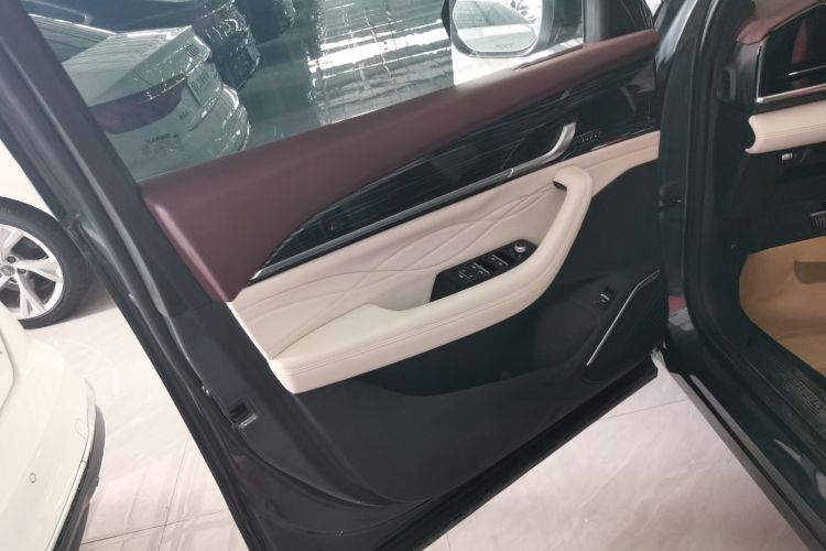 吉利汽车 星越L 2021款 2.0TD DCT EVO两驱尊贵型中控内饰47