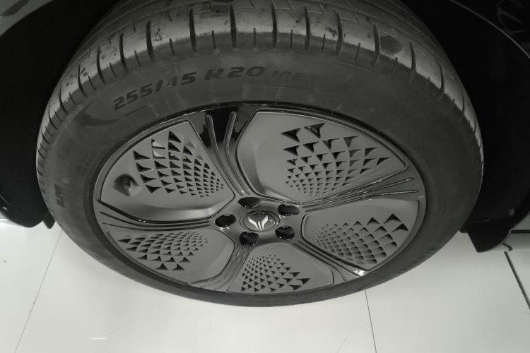 岚图汽车 岚图知音 2024款 四驱全球版车身外观6007