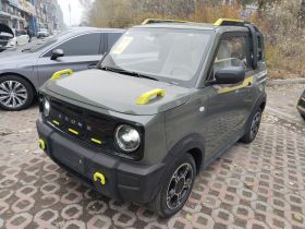 吉利银河 2025款 210km 熊猫骑士