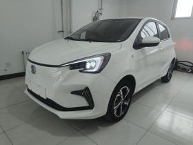 长安欧尚 奔奔E-Star 2022款 清心版 多彩款 磷酸铁锂