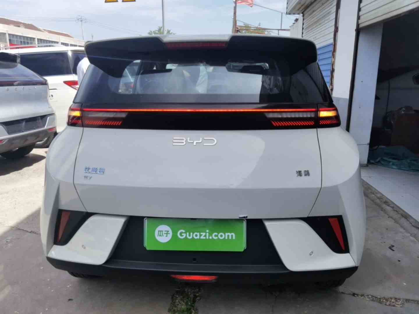比亚迪 海鸥 2025款 智驾版 305km 活力版(4)