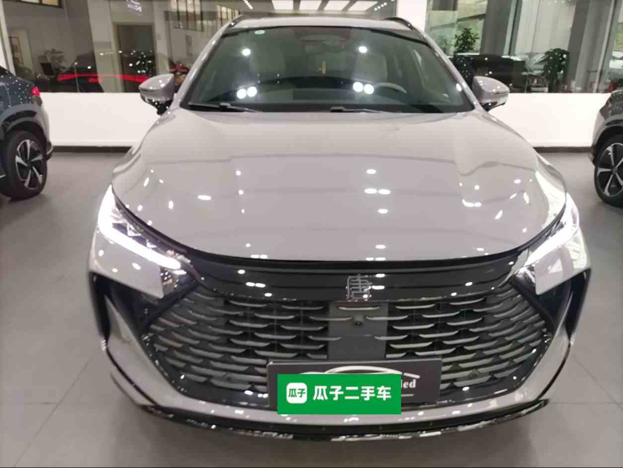 比亚迪 唐新能源 2025款 智驾版 DM-i 115KM 旗舰型(1)