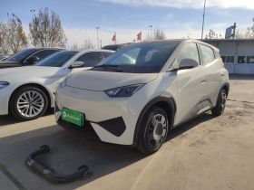 比亚迪 海鸥 2025款 智驾版 305km 活力版