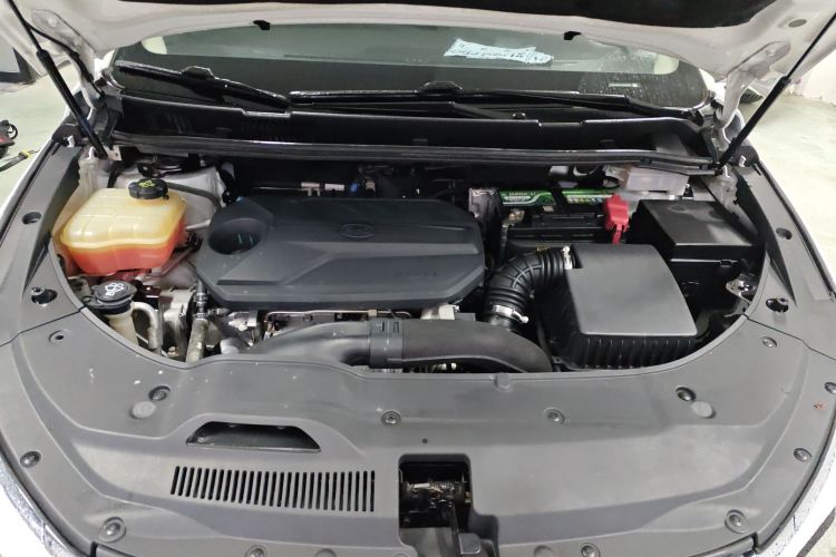 比亚迪 宋MAX 2021款 升级版 1.5T 自动尊贵型 7座机舱底盘24