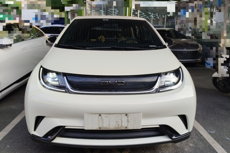 比亚迪 海豚 2024款 荣耀版 420km 自由版车身外观2