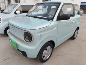 吉利银河 2024款 熊猫mini 200km 耐力熊